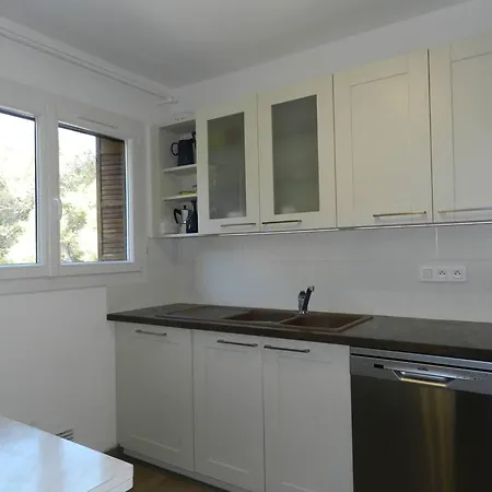 Apartment 3 Pieces Avec Piscine, Parking Et Animaux Admis - Fr-1-251-757 Le Lavandou